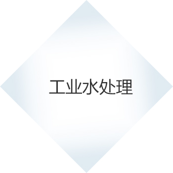 產(chǎn)品1